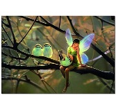 Educa Jigsaw Puzzle - Feathered Friends - 1000 Pieces Educa Jigsaw Puzzle - Feathered Friends - 1000 Pieces